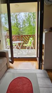 Zeleni pogled - Zlatibor