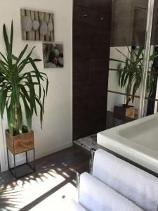 Maisons d'hotes La Palmeraie : photos des chambres