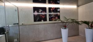 Grand Boulevard Apartmnt