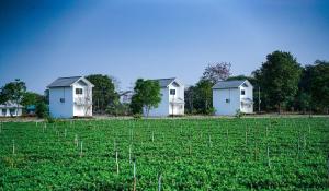 Naoat Resort Farm & Cafe