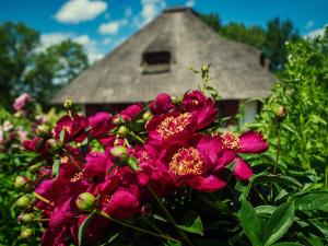Dworek Króla Stanisława - Apartament Chabrowy