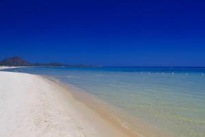 V 20 Campidano img30