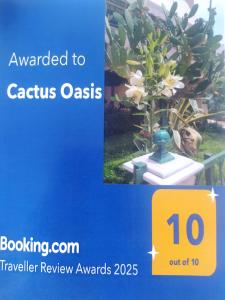 Cactus Oasis