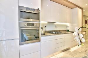 City Studio Collection