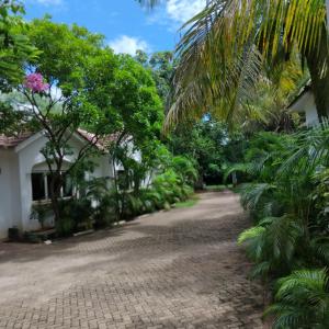 Maasai Koroga Hotel & Apartments