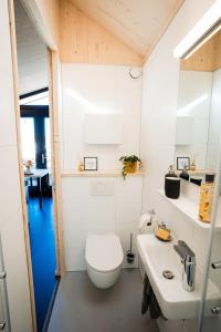 Vakantiehuisjes - De Bearshoeke, Oudega