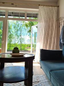 Apartamenty i Winnica - Siedlisko Na Polanie