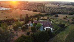 Courela da Azinheira - Country Guesthouse