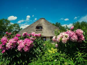 Dworek Króla Stanisława - Apartament Jaśminowy