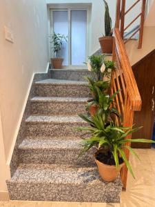 Hotel Shivay Pvt ltd