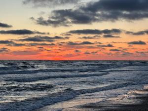 Apartment V4 in Palanga