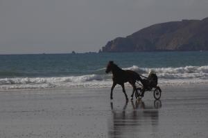 Mer et mare de Vauville