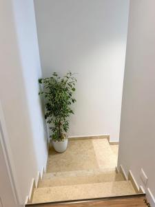 Pearl Pool Luxury Villa