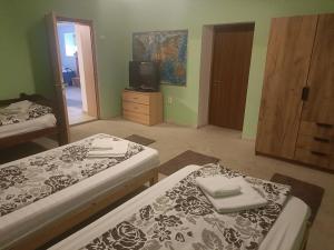 Sibiu Budget Rooms at SemiBasement Demisol