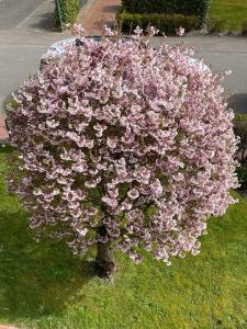 "Feriengarten Büsum - C10"