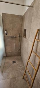 Hotels Hotel Residence de standing Casa Pian d-Olmo : photos des chambres