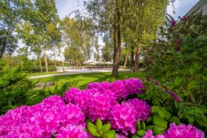 Green Garden Hotel