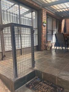 AfricaLove on Tiger Suite