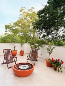 Apê Sunshine| Terraço| Interação com animais