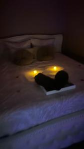 Evasion balneo Fréjus