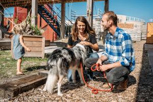 Basecamp Tiny House Eco-resort IJmuiden