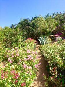 Villas Superb sea view villa with pool and big garden : photos des chambres