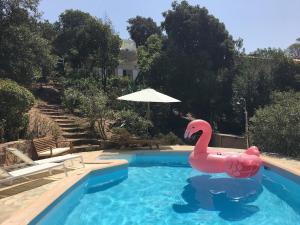 Villas Superb sea view villa with pool and big garden : photos des chambres