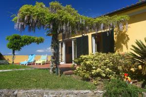 Castanheiro Cottage Relaxing Nature