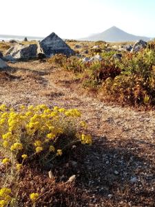 Castanheiro Cottage Relaxing Nature