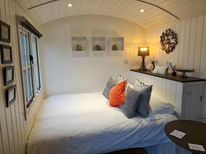 Luxury Countryside Shepherds Hut with Hot Tub