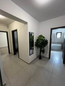 Dobroesti Relax Apart