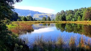 Wild Hunters Cabin at Drakensberg International Backpackers