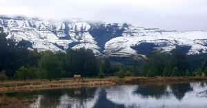 Wild Hunters Cabin at Drakensberg International Backpackers
