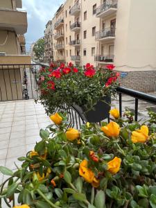 Noa affittacamere img33