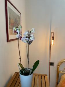 Armonia Affittacamere