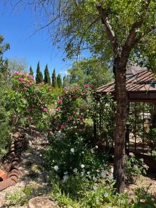 Maisons de vacances Santolina Etrusca Bed and Breakfast, Sauna, Hammam, Jacuzzi : photos des chambres