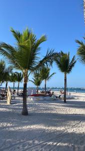 Playa Turquesa Penthause Front to the Beach Punta Cana Rd