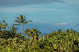 Palms at Wailea 2106 by Coldwell Banker Island Vacations