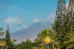 Palms at Wailea 2106 by Coldwell Banker Island Vacations