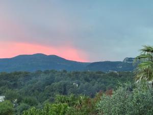 Maisons de vacances Villa Bella : photos des chambres