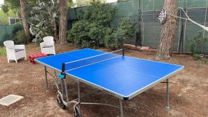 The poolside gem img21