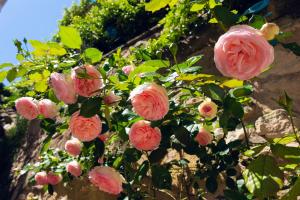 Maisons d'hotes La Maison du Village : photos des chambres