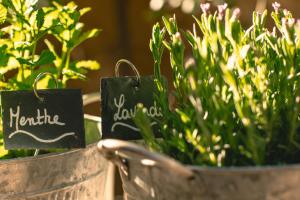 Maisons d'hotes La Maison du Village : photos des chambres