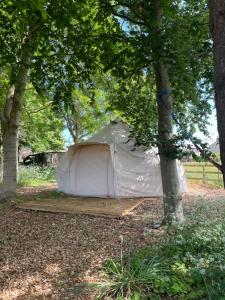 The Spinney, close to Silverstone