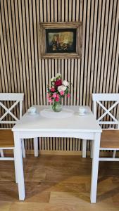 Magnolija stan na dan