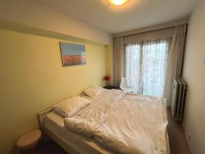 Sunny Beachfront Apartment - Blankenberge T103