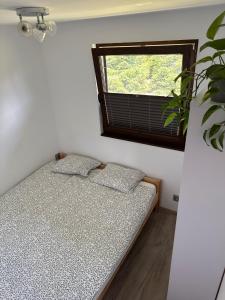 Domki Pod Jarzębiną Borsk