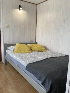 Domki Pod Jarzębiną Borsk