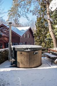 Vila Blanc Valiug Crivaia