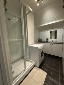 Central apartment